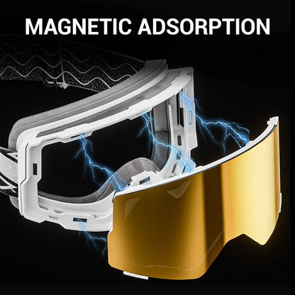 Double Layer Anti-Fog Ski Goggles